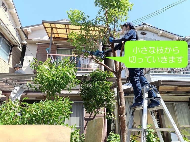岸和田市　小さな枝から切っていきます